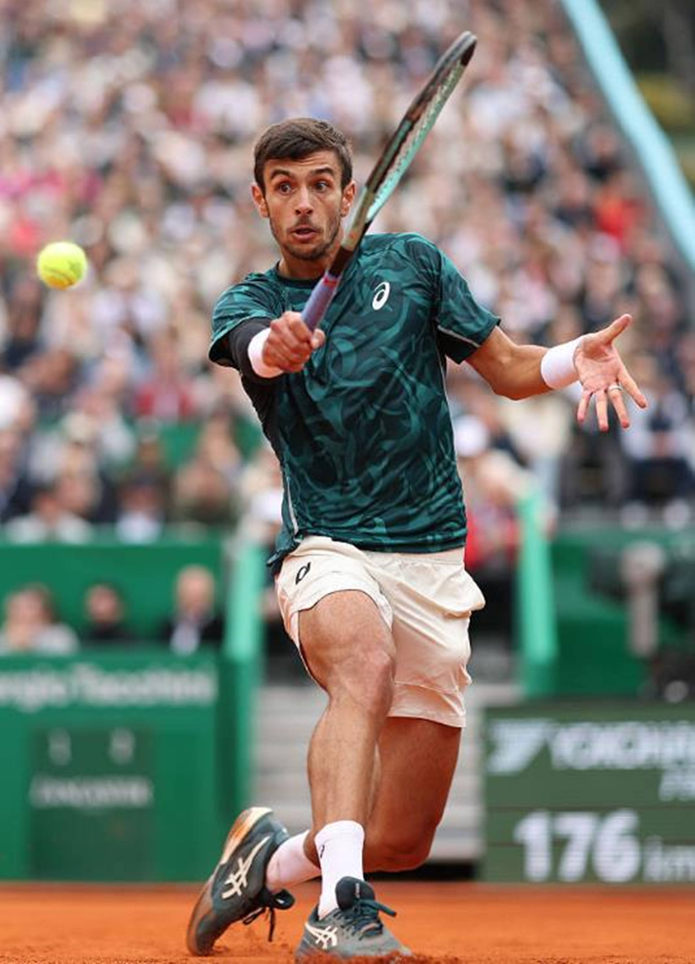 把这篇文章 把这篇文章